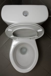Toilet with button flush