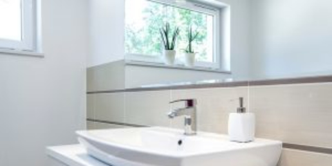 Keeping Pests Out: Critters And Plumbing Photo