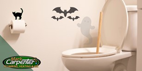 Creepy Things That Can Clog Your Pipes Photo